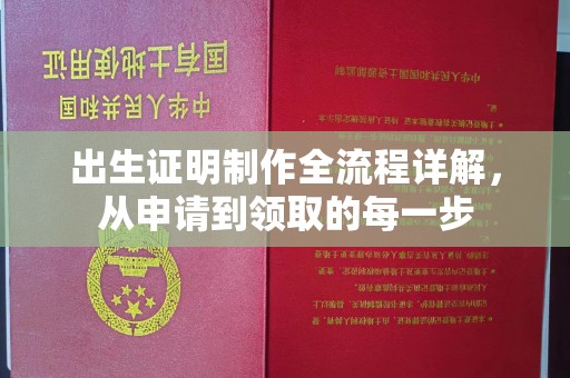 秀英出生证明制作全流程详解，从申请到领取的每一步