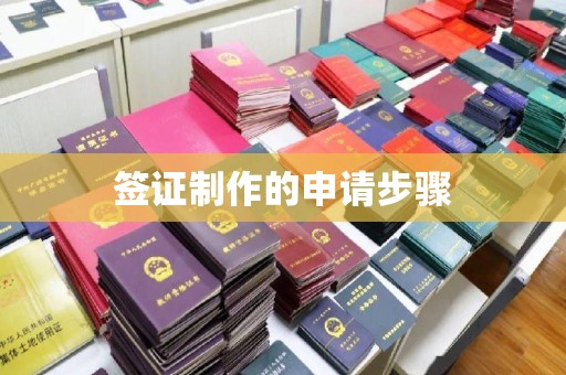 秀英签证制作的申请步骤